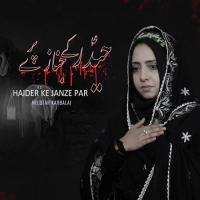 Haider As Ke Janaze Per Nelofar Karbalai Song Download Mp3