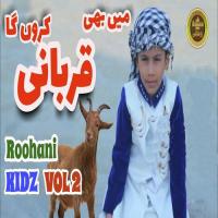 Me Bhi Qurbani Karunga, Vol. 2 songs mp3