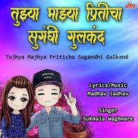 Tujhya Majhya Priticha Sugandhi Gulkand Sukamla Waghmare Song Download Mp3