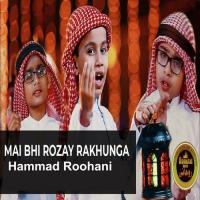 Mai Bhi Rozay Rakhunga Hammad Roohani,Muhammad Abu Huraira,Abdul Raheem Nazar,Mufti Kausar Roohani Song Download Mp3