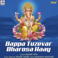 Bappa Tuzevar Bharosa Haay Sudhir Patil Song Download Mp3