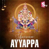 Sharanam Ayyappa Harini Ivaturi Song Download Mp3