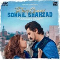Tottay Chaar Sohail Shahzad Song Download Mp3