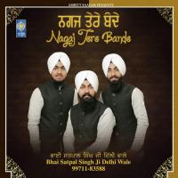 Nagaj Tere Bande Bhai Satpal Singh Ji Delhi Wale Song Download Mp3