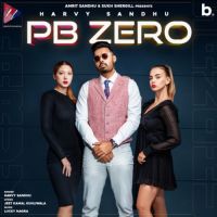 Pb Zero Harvy Sandhu Song Download Mp3