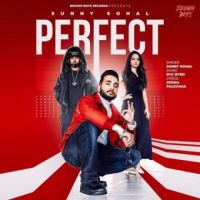 Perfect Sunny Sohal Song Download Mp3