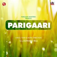 Oruvaraagilum - 1 S. L. Edward Raj Song Download Mp3