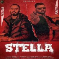 Stella Puneet,Sultaan Song Download Mp3