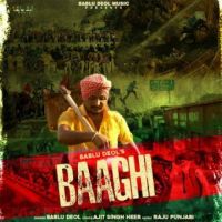 Baaghi Bablu Deol Song Download Mp3