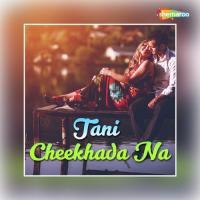Tani Chikhada Na Ye Goriya Alah Dilwale Dehatiya Song Download Mp3
