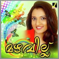 Mazhavillu songs mp3