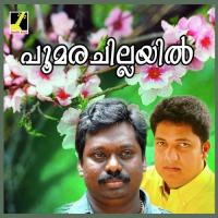 Pakal Kinavil Biju Narayanan|Rajalakshmi Song Download Mp3