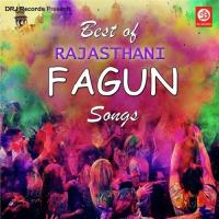 Best Of Rajasthani Fagun Songs songs mp3