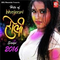 Hits Of Bhojpuri Holi Songs-2016 songs mp3