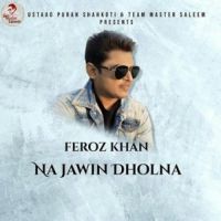 Na Jawin Dholna Feroz Khan Song Download Mp3