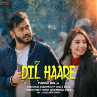 Dil Haare Pukhraj Bhalla Song Download Mp3