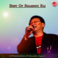 Best Of Shambhu Rai songs mp3