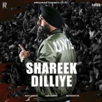 Shreek Dilliye Ricky Sandhu Song Download Mp3