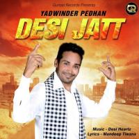 Desi Jatt Yadwinder Pedhan Song Download Mp3