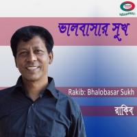 Bhalobasar Sukh songs mp3