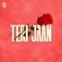 Teri Jaan Jammy Meet Song Download Mp3