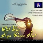 Kya Beqarari Hai (Female) Salma Agha Song Download Mp3