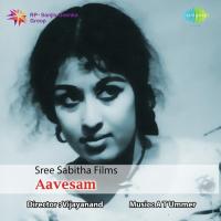 Aavesam songs mp3