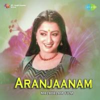 Aranjaanam songs mp3