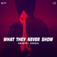 What They Never Show Amantej Hundal Song Download Mp3