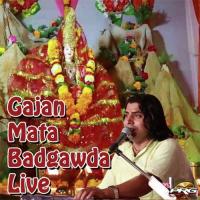 Gajan Mata Badgawda Live songs mp3