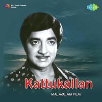 Kattukallan songs mp3