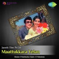 Sathiyam Neeye T.M. Soundararajan Song Download Mp3