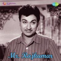 Mr. Rajkumar songs mp3