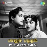 Ponaal Pogattum T.M. Soundararajan Song Download Mp3