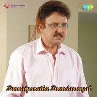 Pannaipurathu Paandavargal songs mp3