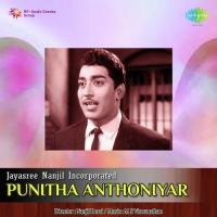 Aananthamanathu K.J. Yesudas Song Download Mp3