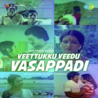 Veettukku Veedu Vaasappadi S.P. Balasubrahmanyam,P. Susheela Song Download Mp3