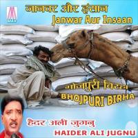 Janwer Aur Insan Haider Ali Jugnu Song Download Mp3