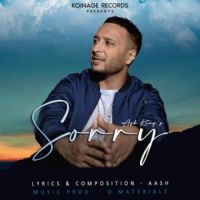 Sorry Ash King Song Download Mp3