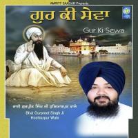 Gopal Tera Aarta Bhai Gurpreet Singh Ji Hoshiarpur Wale Song Download Mp3