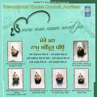 Amrit Pio Bhai Sharanjit Singh Delhi Wale Song Download Mp3