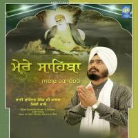 Man Tan Basai Bhai Surinder Singh Ji Khalsa Delhi Wale Song Download Mp3