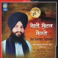 Sei Sunder Sohney songs mp3