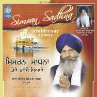 Simran Sadhna (tere Bhrosay Pyarey) Bhai Davinder Singh Ji Khalsa (Khanne Wale) Song Download Mp3