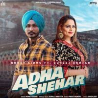 Adha Shehar Gurlej Akhtar,Honey Sidhu Song Download Mp3