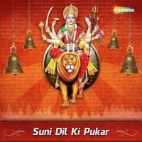 Suni Dil Ki Pukar songs mp3