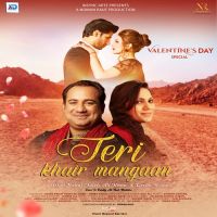 Teri Khair Mangaan Rahat Fateh Ali Khan,Deeba Kiran Song Download Mp3
