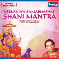 Neelanjan Samabhasam - Shani Mantra Suresh Wadkar Song Download Mp3
