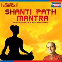 Shani Path Mantra Suresh Wadkar Song Download Mp3
