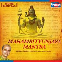 Maha Mrityunjaya Mantra Suresh Wadkar Song Download Mp3